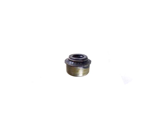 RETEN VALVULA ADM/ESC (8V)